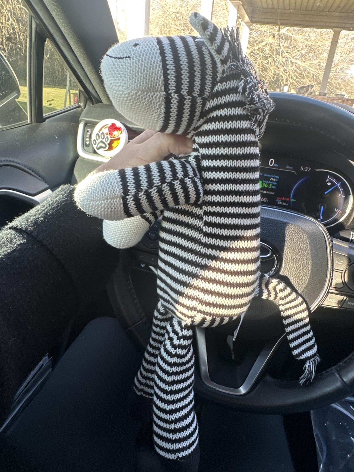 Ice King Bear Zebra Stuffed Animal Soft Plush Toy 10 Inches (Hand Knitted) customer photo 1