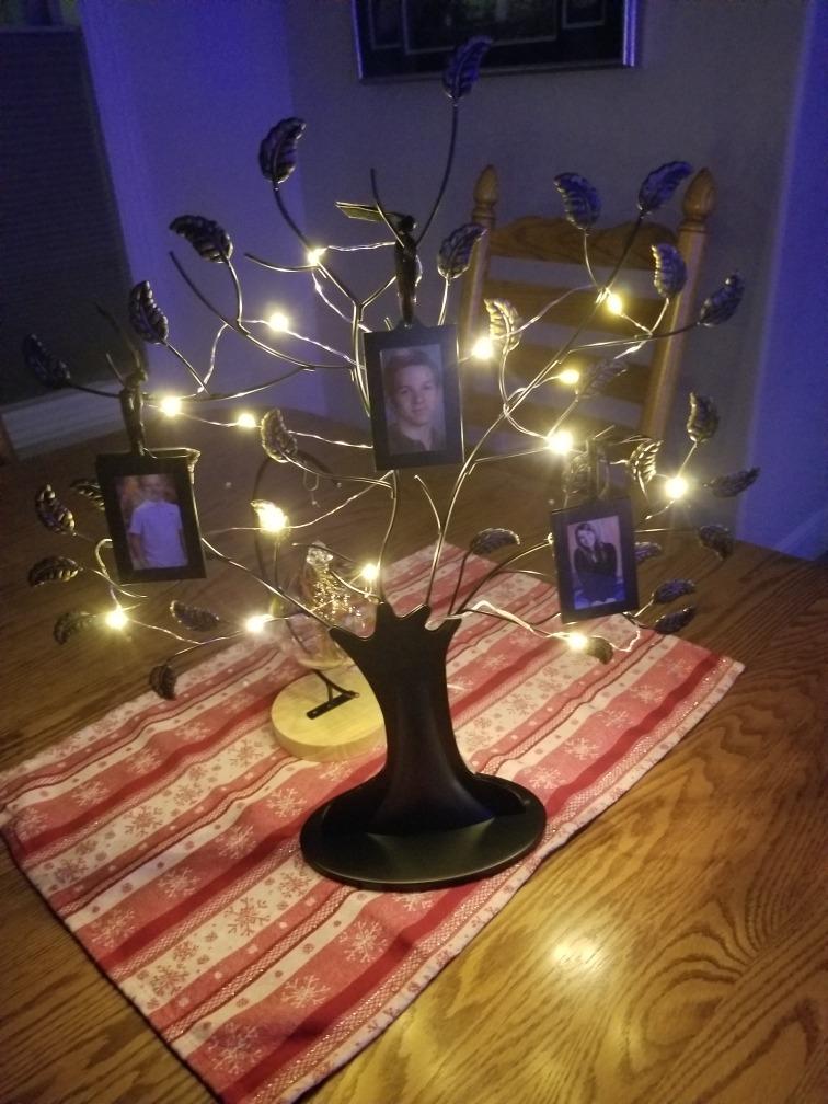 Americanflat Family Tree Picture Frame - Includes 12 Hanging 2x3 Picture Frames - Adjustable Ribbon Tassels - Black and Bronze customer photo 1