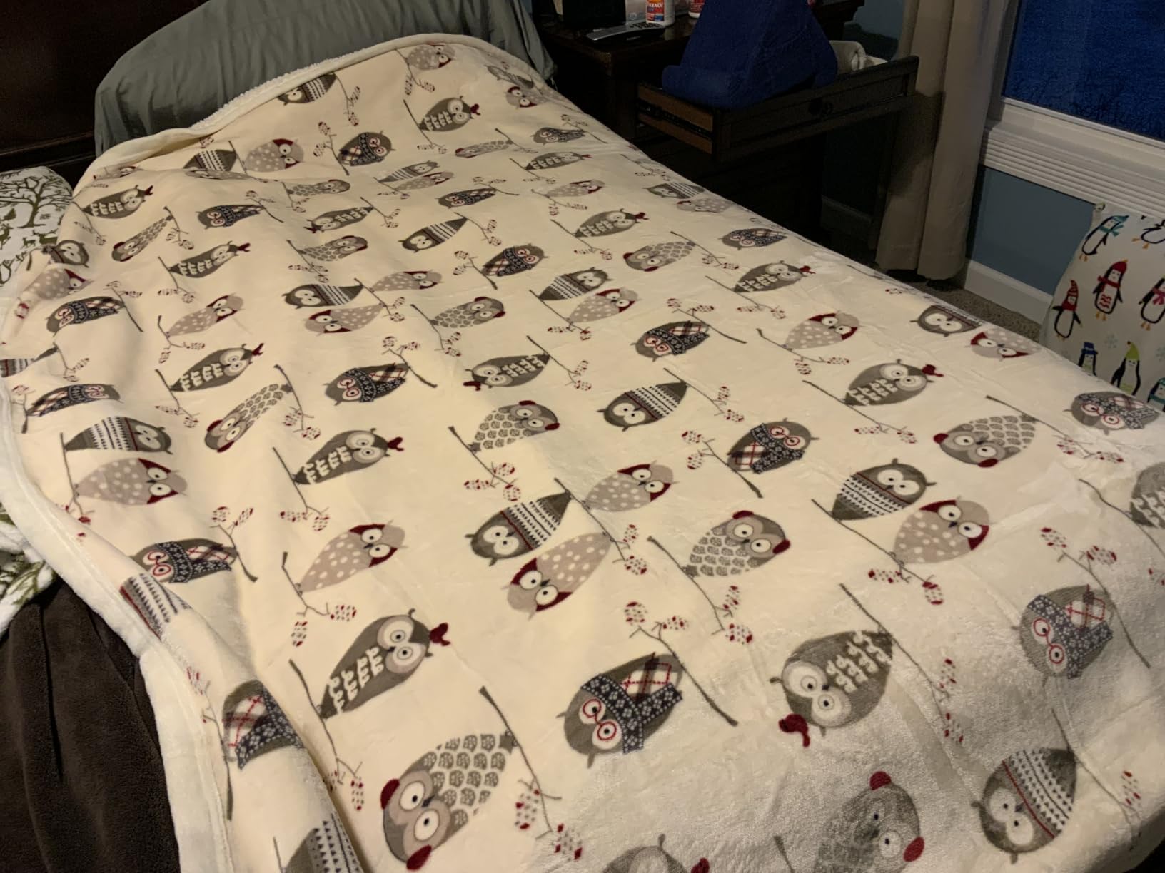 UKELER Flannel Sherpa Throw 60'' x 50''- Owl Printed Soft Plush Flannel Blanket Throws for Bed/Couch/Sofa/Office/Camping customer photo 1