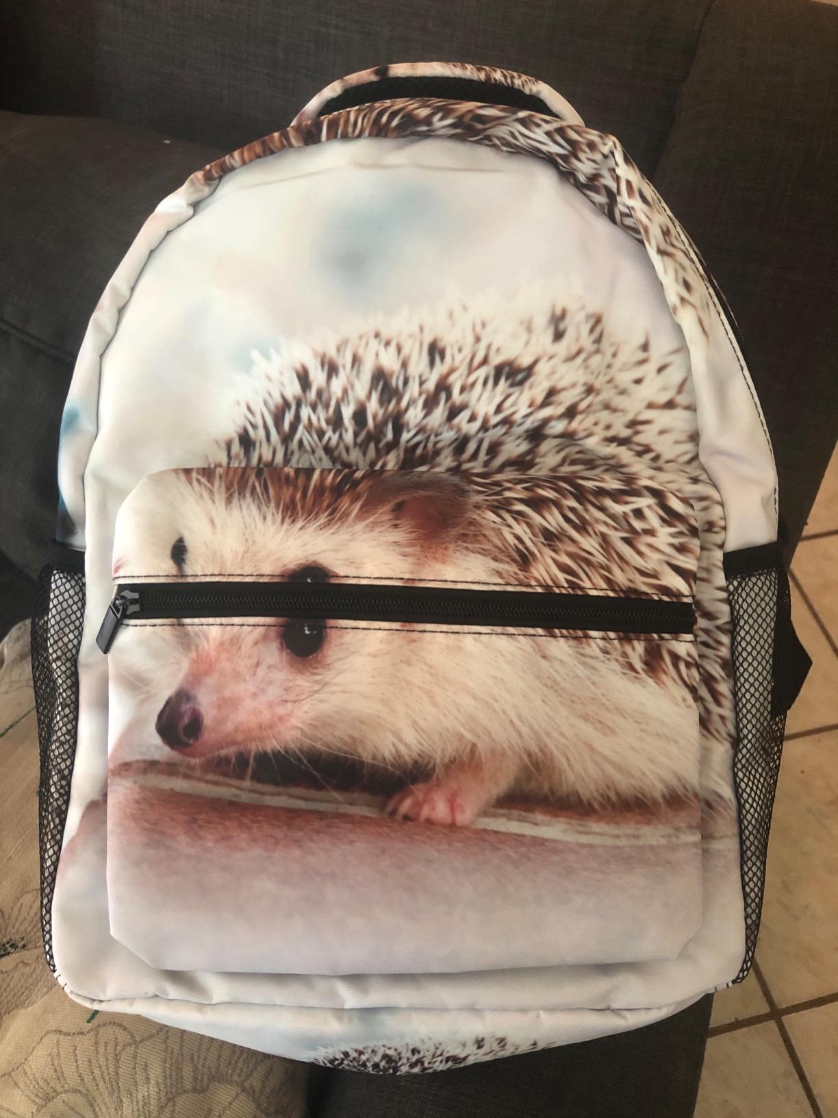 Hedgehog School Backpack for Boys Girls Bookbag Travel Bag customer photo 1