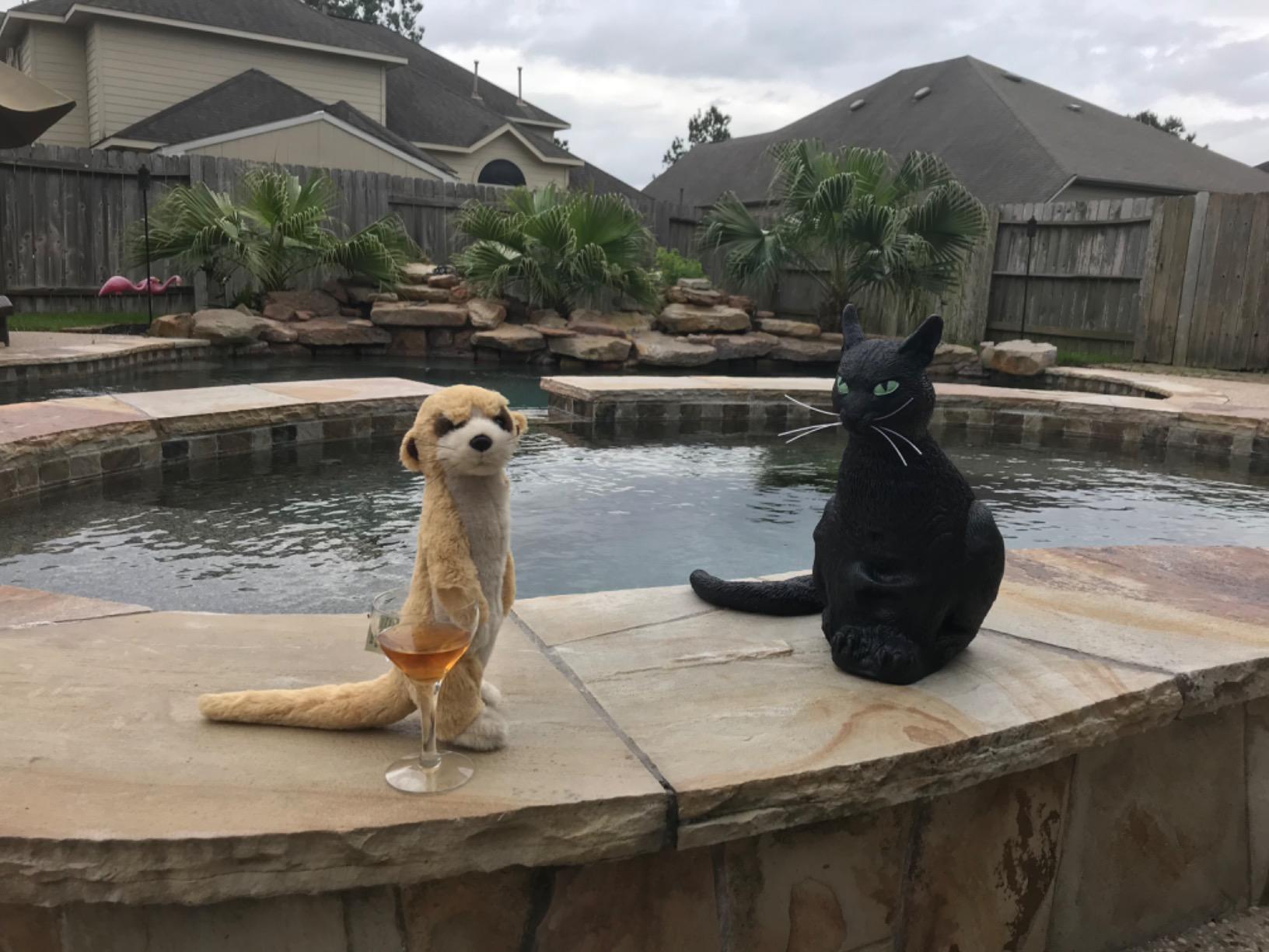 TigerHart Mimi The Meerkat - 10 Inch Stuffed Animal Plush customer photo 2