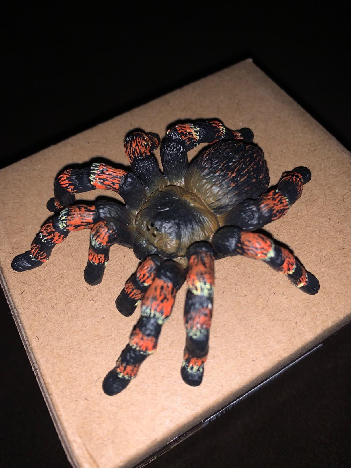 Schleich Wild Life - Tarantula Toy Spider Figurine - Kids Ages 3+ Realistic Animal Figurine 14829 customer photo 1