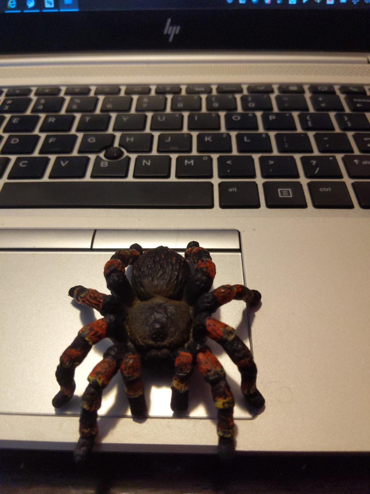 Schleich Wild Life - Tarantula Toy Spider Figurine - Kids Ages 3+ Realistic Animal Figurine 14829 customer photo 2