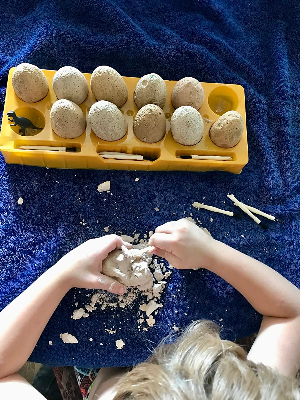 Dig a Dozen Dino Egg Kit for Kids - 12 Eggs & Surprise Dinosaurs | Dinosaur Toys Gift 3-12 Year Old - Science STEM Activities - Boy Toy Party Gifts for Boys & Girls - Basket Stuffers customer photo 2
