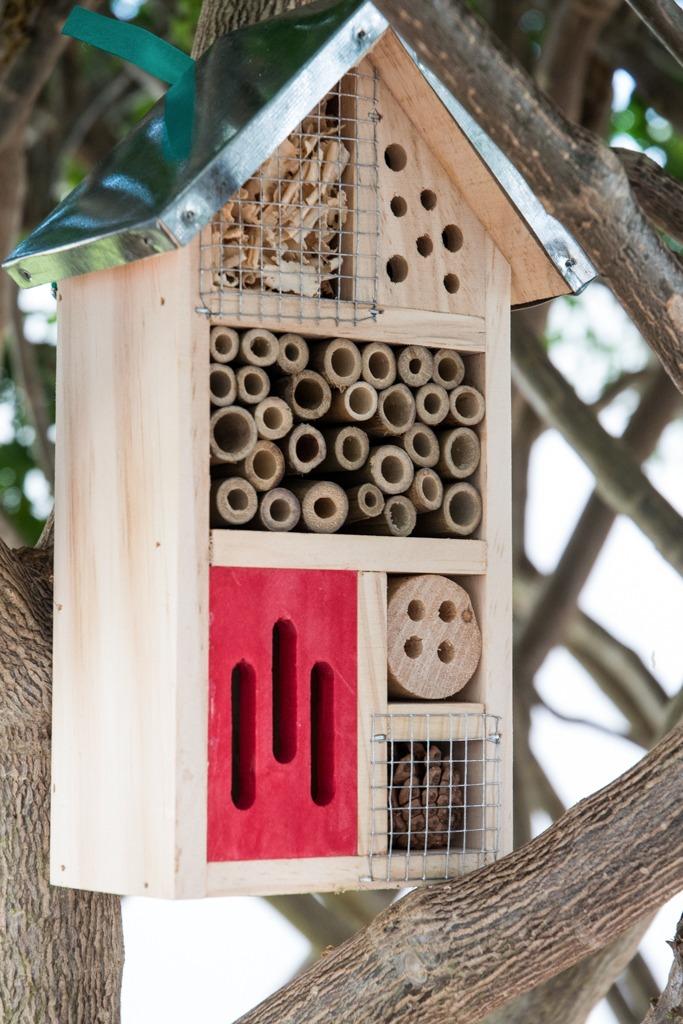 Niteangel Natural Wooden Insect Hotel, Garden Insect House for Ladybugs, lacewings, Butterfly, Bee, Bug customer photo 1