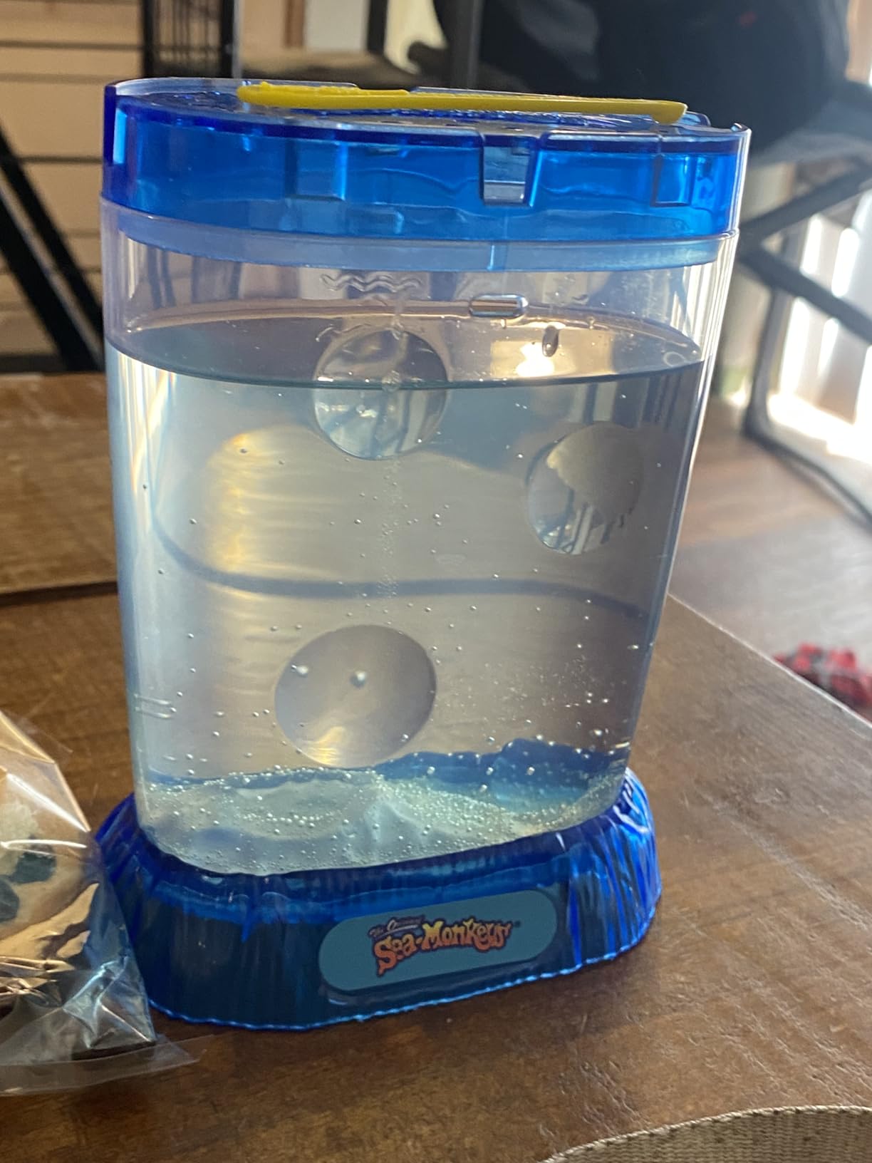 Sea-Monkeys Ocean Zoo Neon - World's Only Instant Pets - Assorted Colors - Ages 6+ customer photo 2