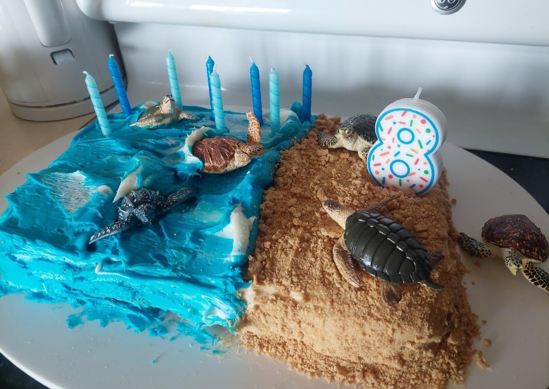 Toymany 6PCS Realistic Sea Turtle Figurines, Plastic Ocean Sea Animals Figures Set customer photo 2