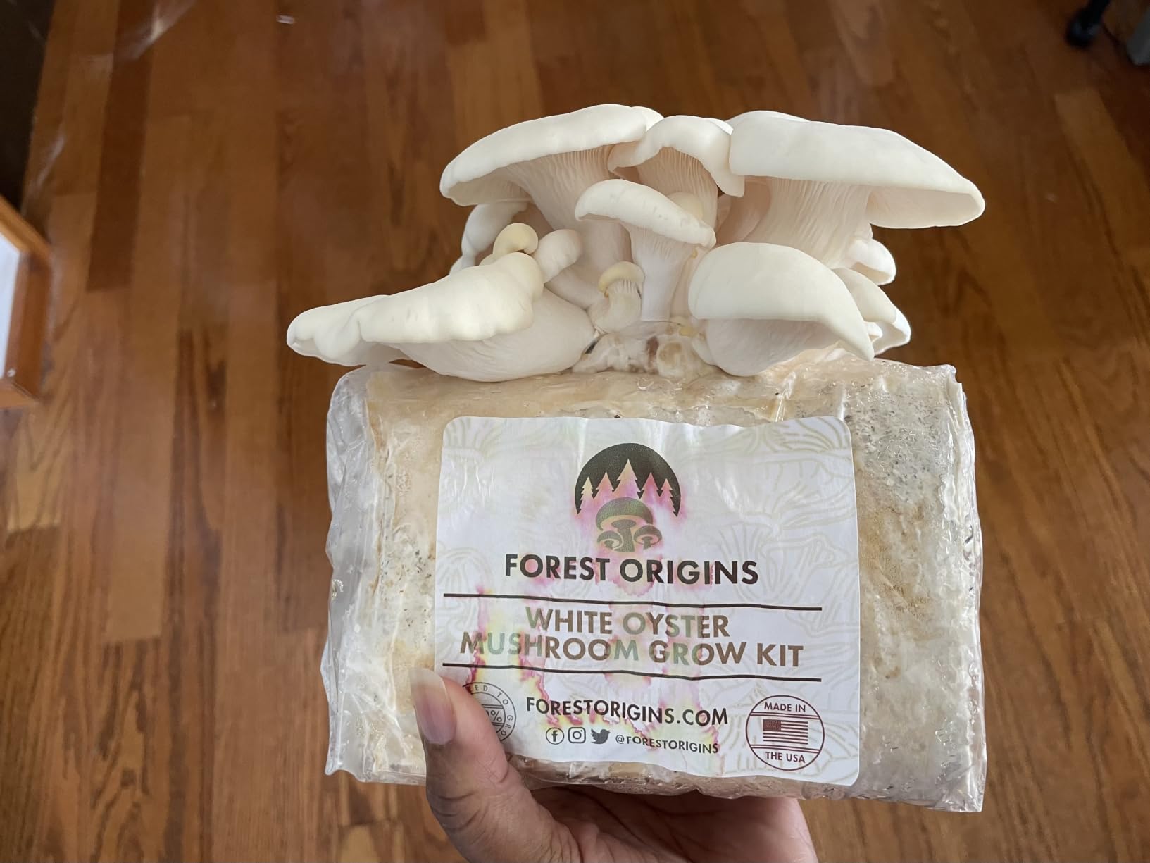 Forest Origins Specialty Trio Oyster Mushroom Grow Kit 3-Pack Variety - Beginner Friendly & Easy to Use, Grows in 10 Days | Handmade in California, USA | Top Gardening Gift, Holiday Gift & Unique Gift customer photo 2