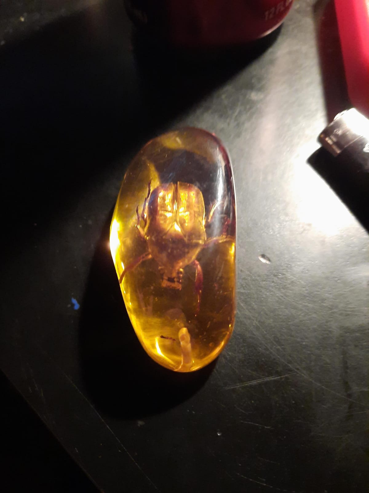VORCOOL 5pcs Amber with Insects Samples Stones Crystal Specimens Home Decorations Collection Oval Pendant (Random Pattern) customer photo 1