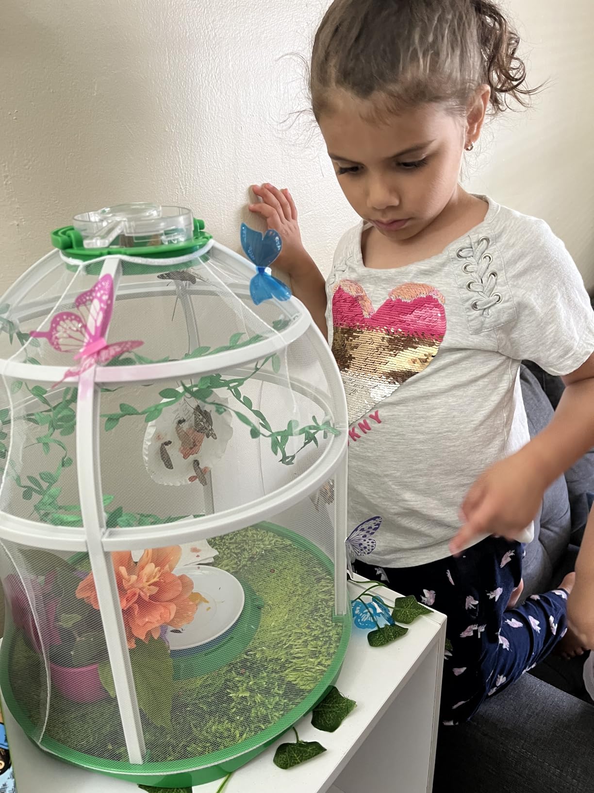 Uncle Milton Butterfly Farm Live Habitat - Observe Caterpillars Transform Into Butterflies, STEM Toy, Great Gifts for Boys & Girls Ages 6+ customer photo 1