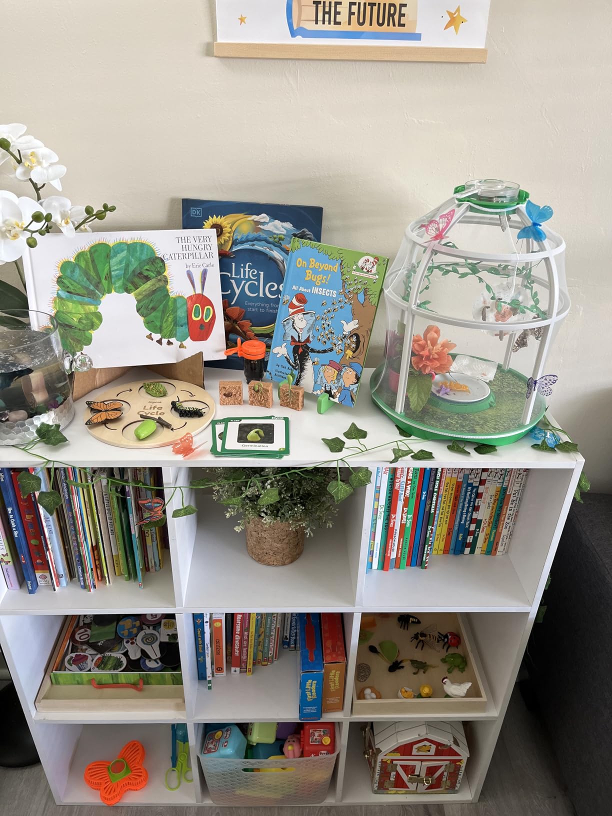 Uncle Milton Butterfly Farm Live Habitat - Observe Caterpillars Transform Into Butterflies, STEM Toy, Great Gifts for Boys & Girls Ages 6+ customer photo 2
