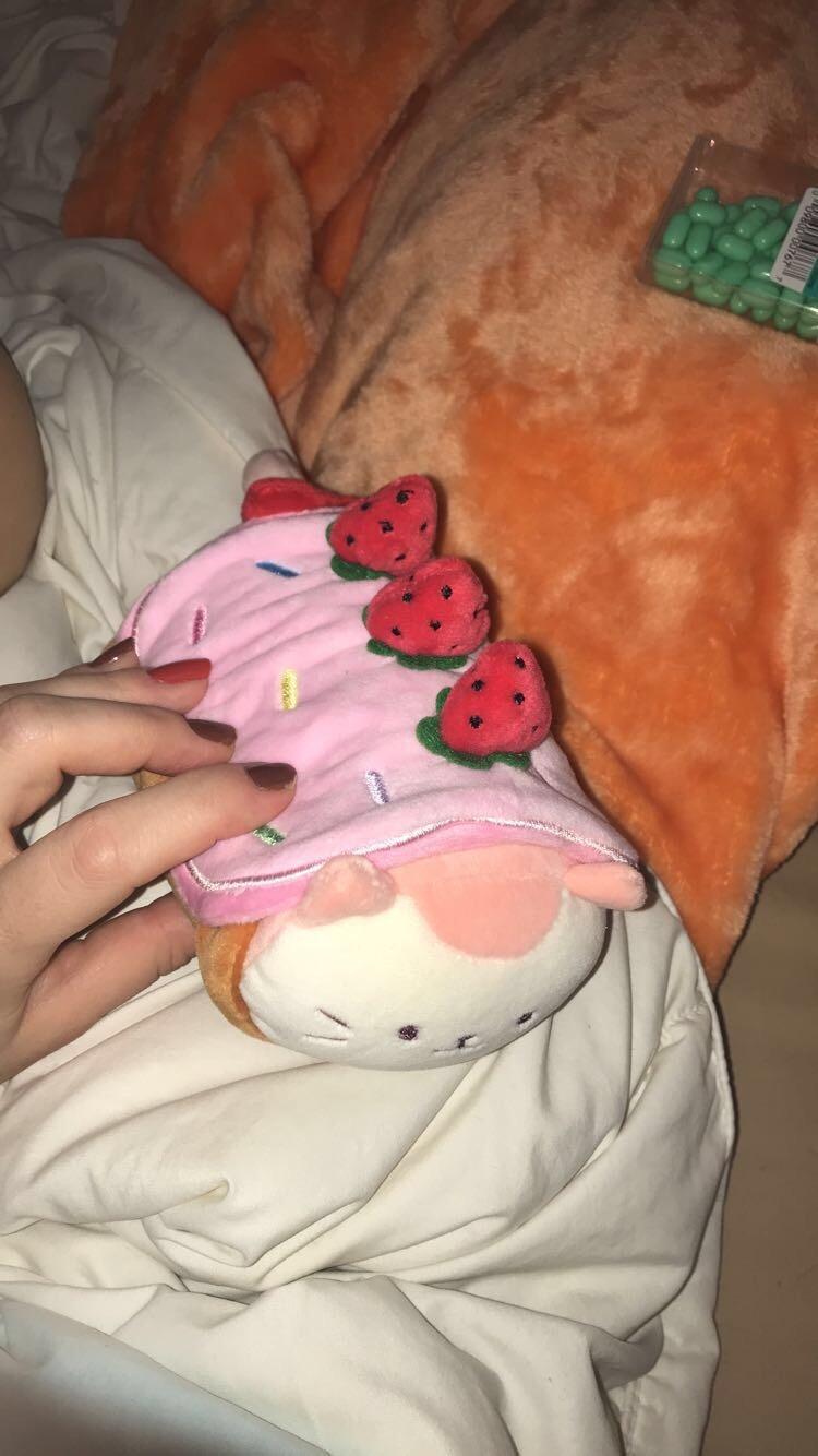 Anirollz Shrimp Sushi Foxiroll Plush Pillow, Kawaii Fox, 6