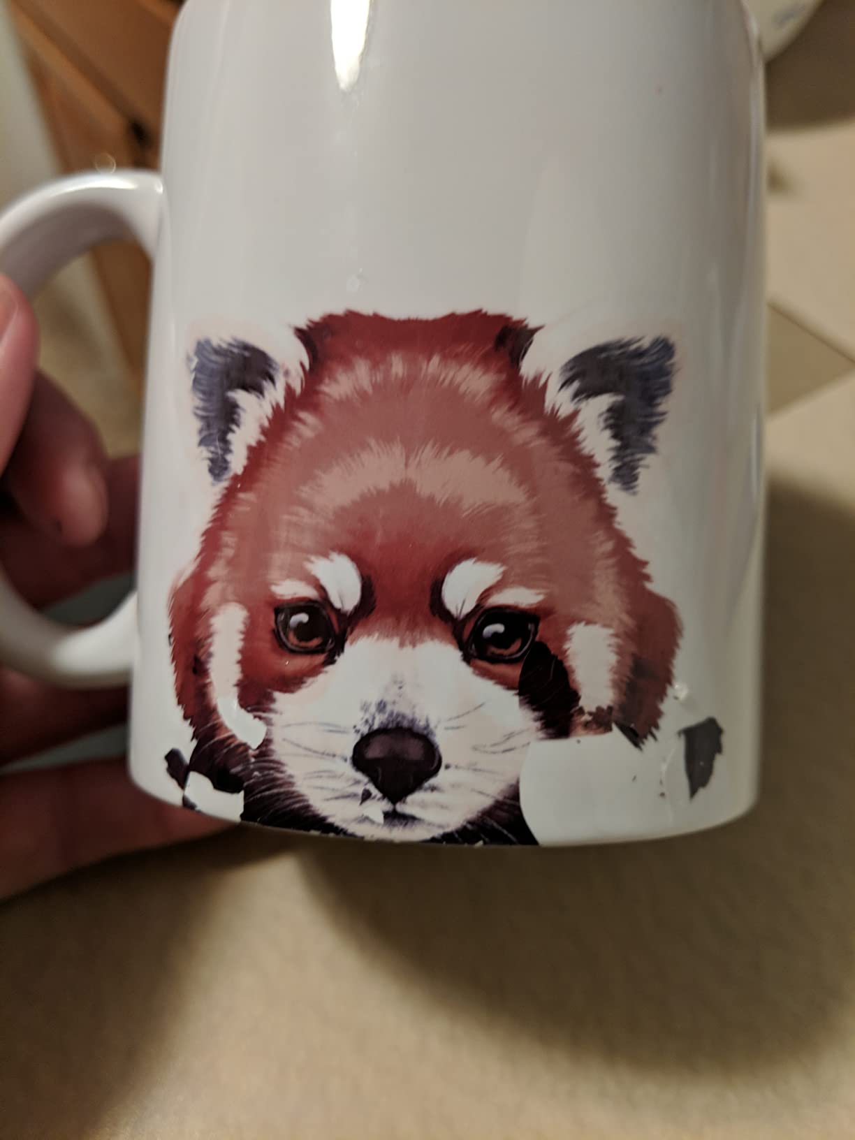 MUGBREW Cute Animal Fancy Goldfish Ceramic Coffee Mug Tea Cup, 11 OZ customer photo 2