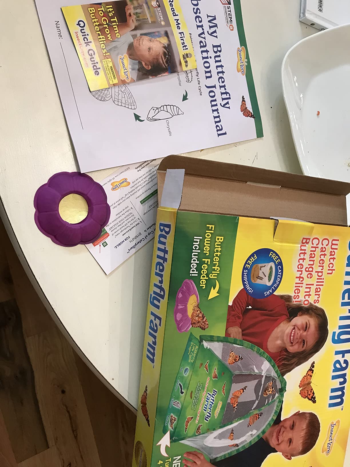 Insect Lore Butterfly Farm with Pre-Paid Voucher to Redeem Caterpillars - Ultra-Clear Dome Habitat, STEM Journal, Chrys-A-Lid Holder - Give the Gift of Raising Painted Lady Butterflies customer photo 1