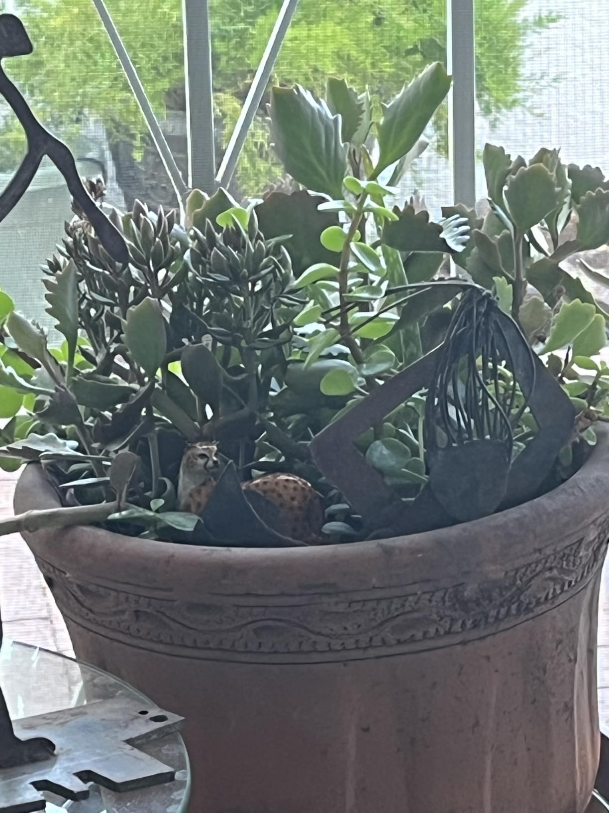 WitnyStore Tiny 4