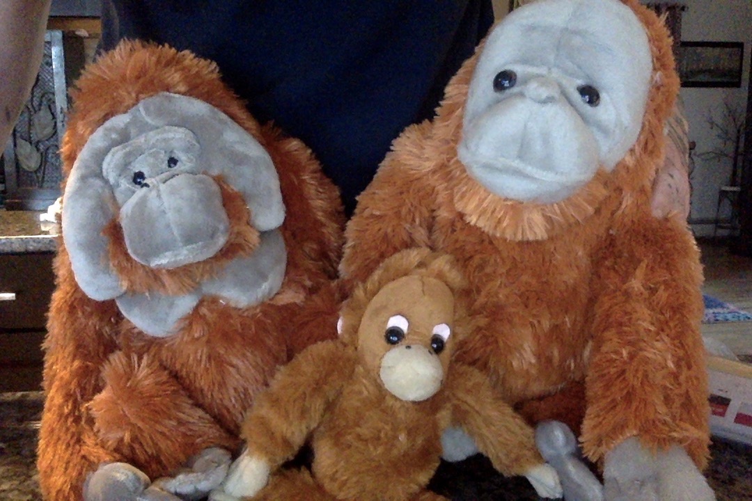 Wild Republic Mom & Baby Orangutan Stuffed Animal - 12