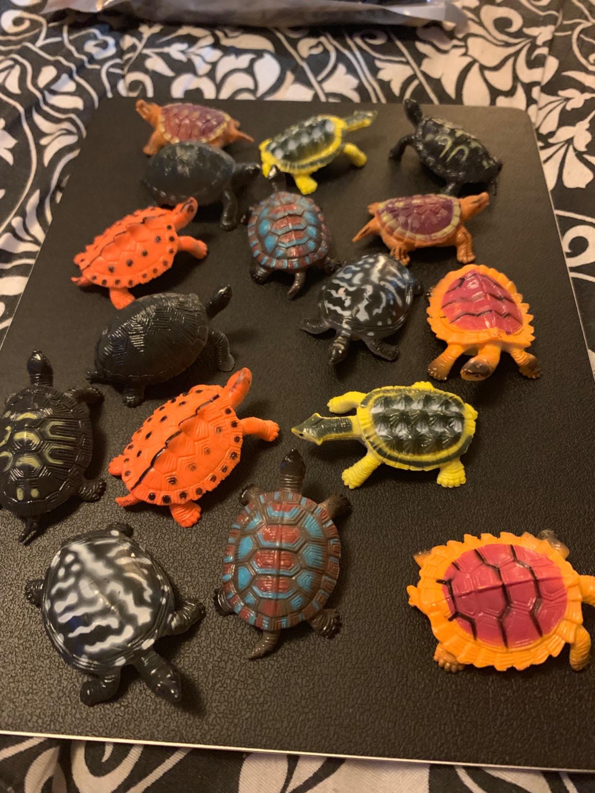Bememo 16 Pcs Turtle Toys Mini Plastic Turtles Figurines for Kids customer photo 2