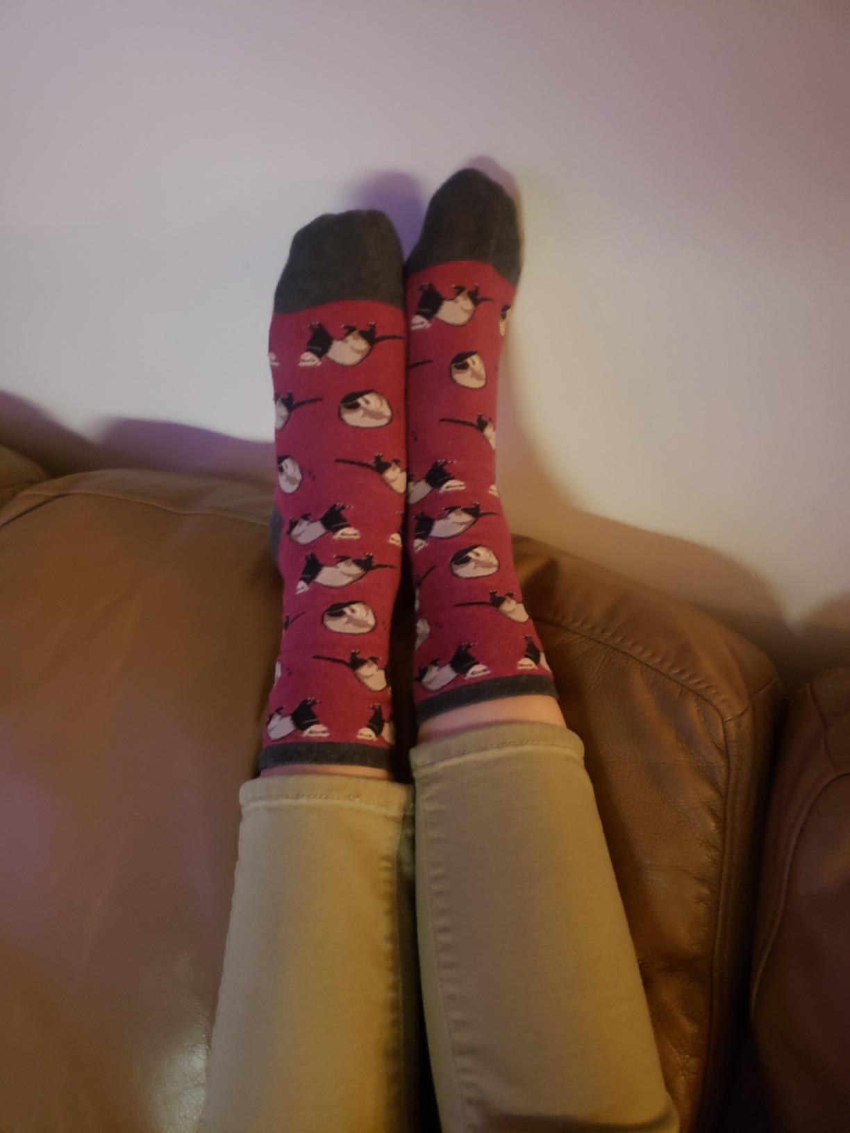 Socksmith Women's Ferret Frenzy customer photo 1