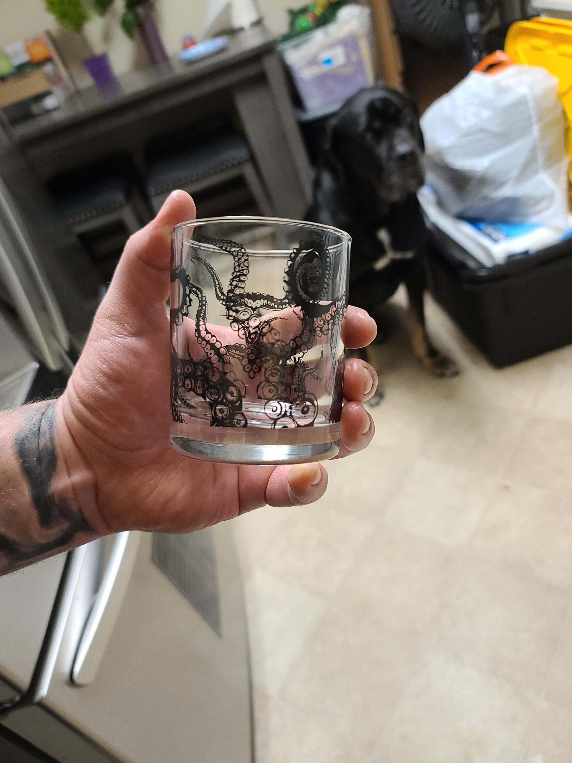 Greenline Goods Whiskey Glasses - 10 Oz Tumbler Gift Set - Kraken Whiskey Glasses (Set of 2) | Rocks Glass Octopus Decor | Old Fashioned Rocks Glasses customer photo 1