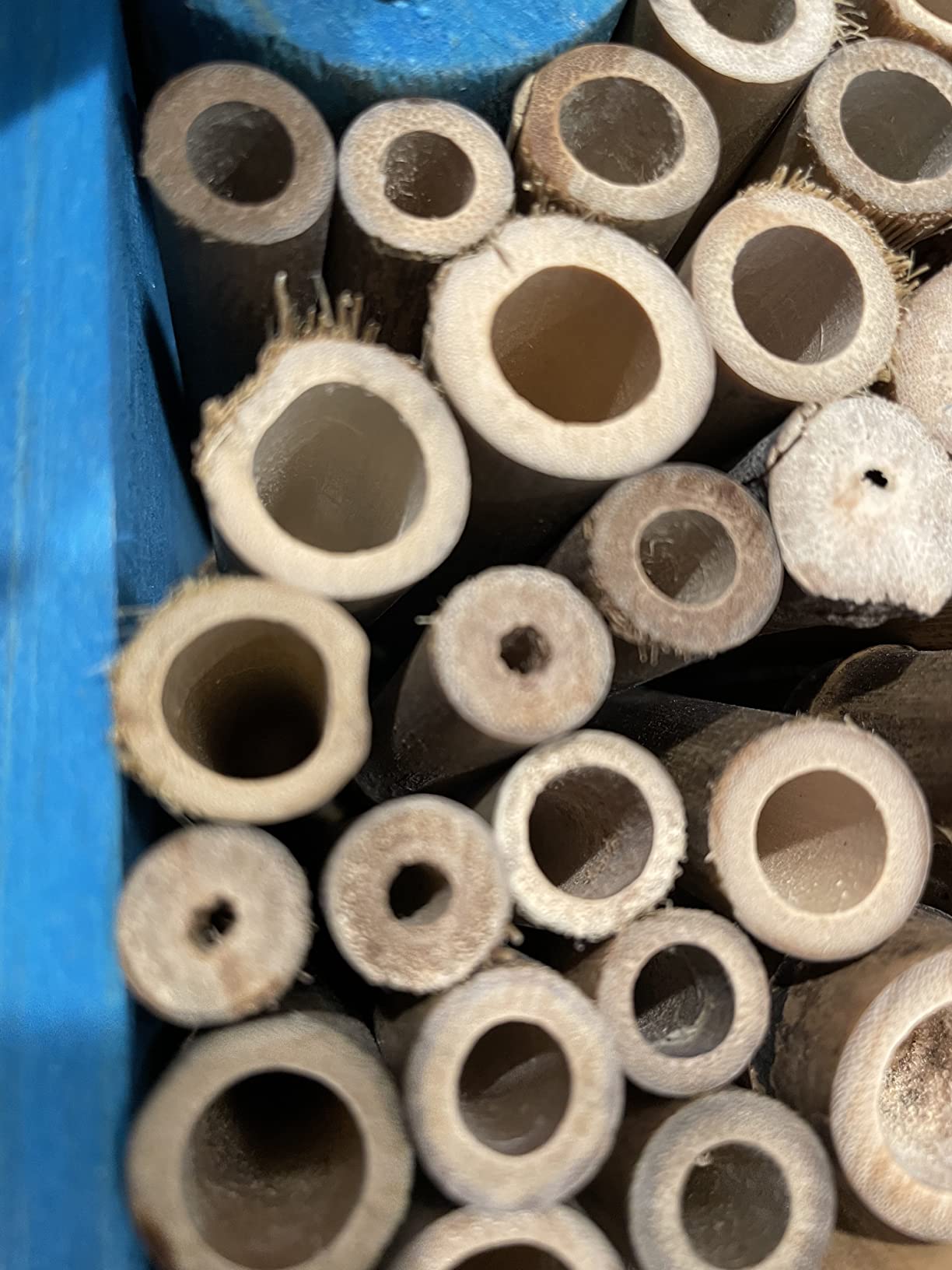 Mason Bee Houses and Supplies : Bamboo Tube Bee Hotel for Solitary Bees - Attract More Gentle Pollinating Bees to Your Garden by Providing Them with a Safe Bee Home Made from FSC Certified Wood customer photo 2