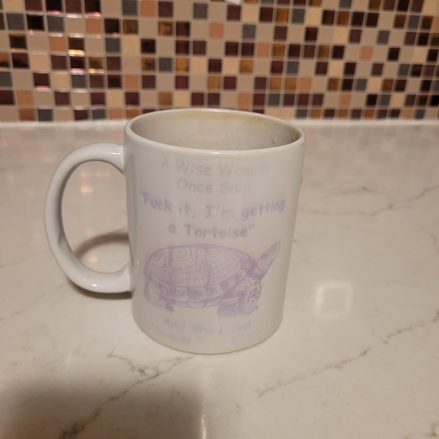 Funny Tortoise Gifts for Women Animals Lovers Pets Mom - A Wise Woman Once Said Coffee Mug with Fun Quotes Ceramic Cup White 11oz customer photo 1
