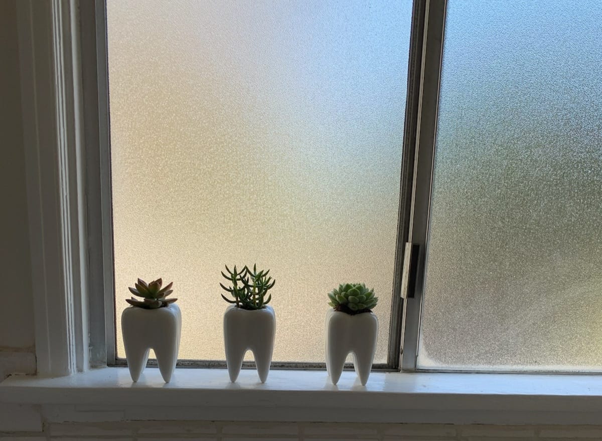 YOFIT Dental Assistant Appreciation Gifts, 4 Pack Ceramic Tooth Planter | Dental Hygienist Gifts Office Decor, Dentist Gift for Coworkers Women Student, White Succulent Flower Pot, 3.7