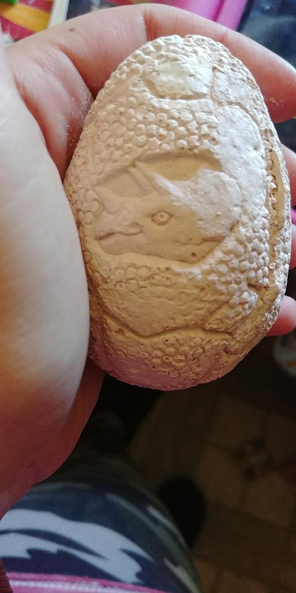 Dig Up Dinosaur Fossil Eggs, Easter Digging Toy for Kids 3-5 6-12 | Break Open 12 Unique Eggs and Discover 12 Cute Dinosaurs, Archaeology Science STEM Gift for 3 4 5 6 7 8 9-12 Year Old Boys customer photo 1