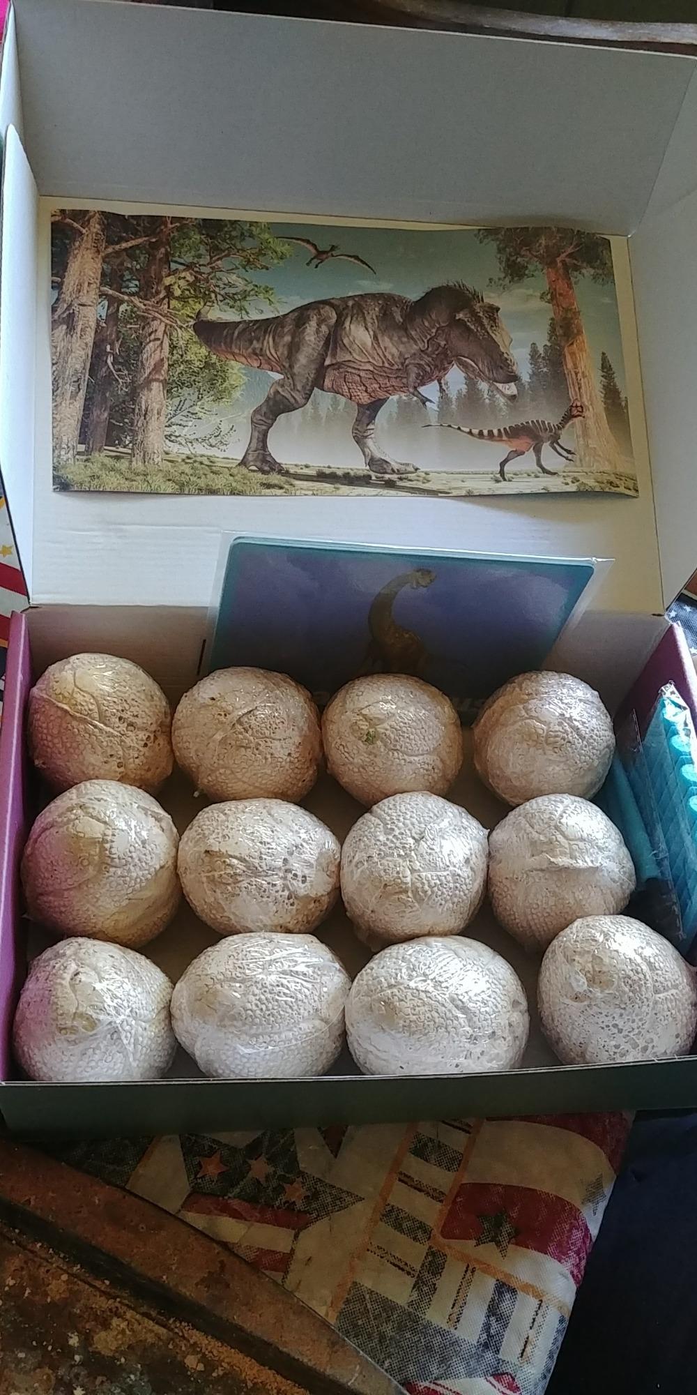 Dig Up Dinosaur Fossil Eggs, Easter Digging Toy for Kids 3-5 6-12 | Break Open 12 Unique Eggs and Discover 12 Cute Dinosaurs, Archaeology Science STEM Gift for 3 4 5 6 7 8 9-12 Year Old Boys customer photo 2