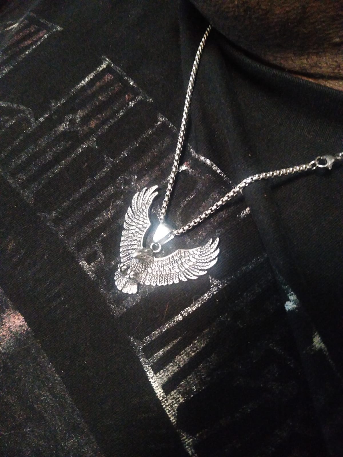 Men's Eagle Wings Pendant Necklace, Stainless Steel Chain, Gothic Punk Rock Hip Hop Biker Jewelry for Men customer photo 2