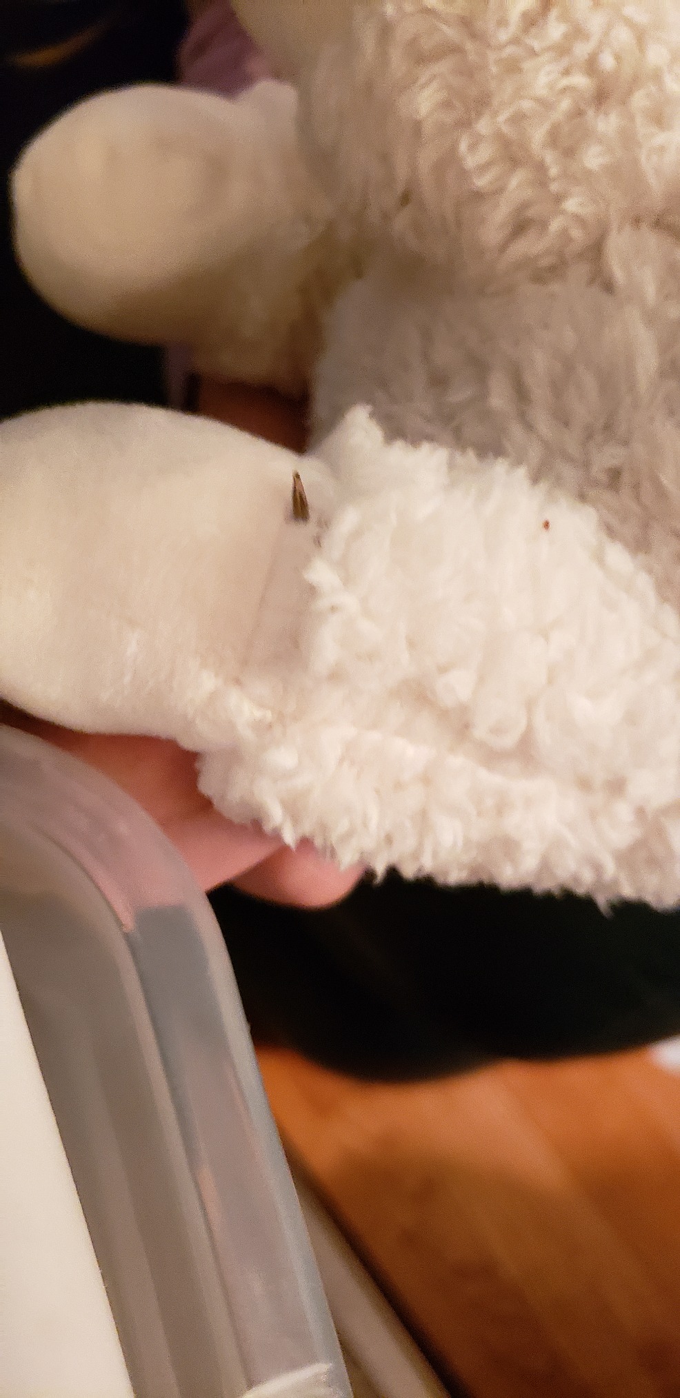 Warmies Microwavable & Weighted Stuffed Animals, Llama - Heated Stuffed Animal Plushie for Warmth & Comfort - Cute Soft Plush Toys for Adults & Children customer photo 2