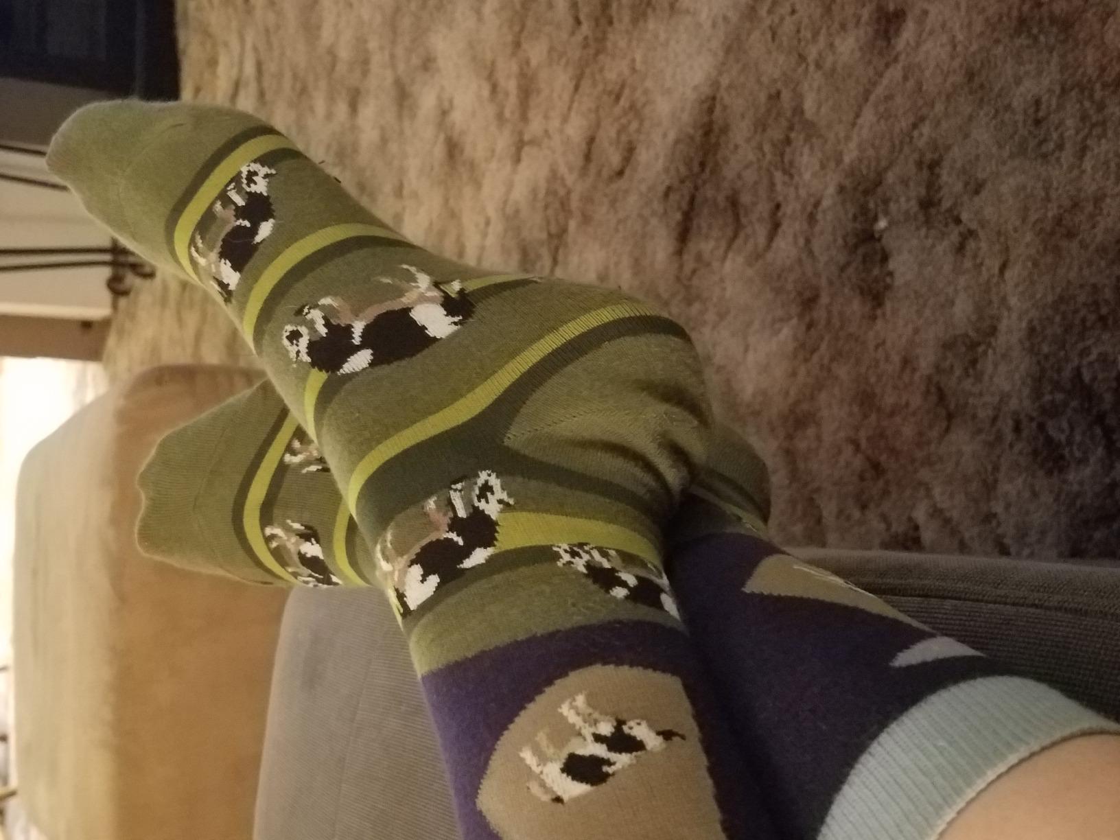 Foot Traffic Women's Novelty Animal Socks, Cute and Comfy Socks, Women's Shoe Sizes 4-10 customer photo 1
