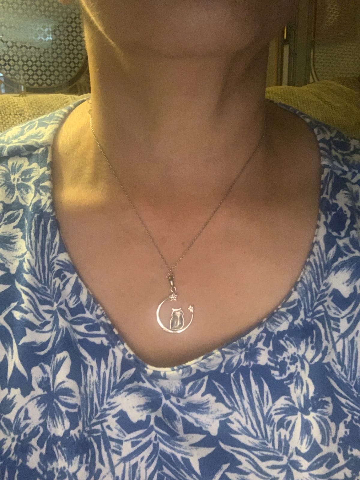 YFN Owl Necklace Inspirational Jewelry Sterling Silver Never Give Up Owl Gifts Moon Star Necklace for Women customer photo 1