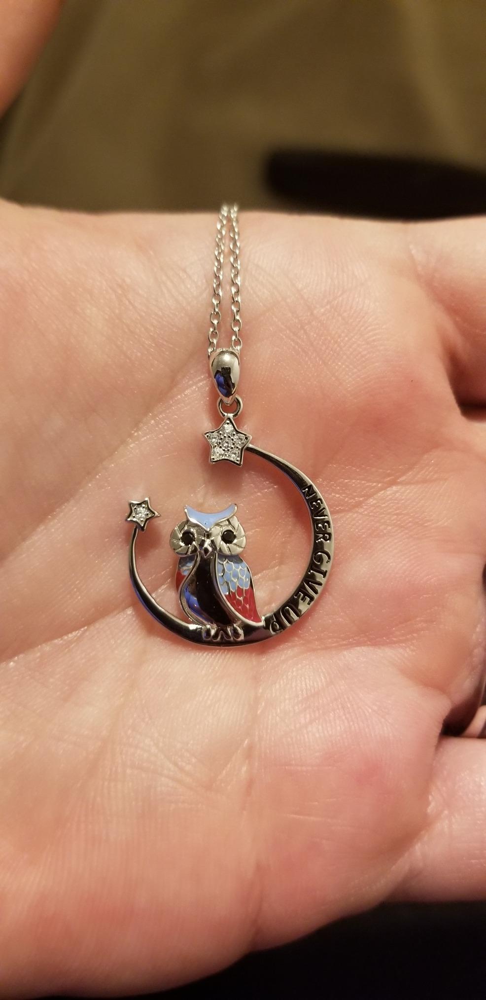 YFN Owl Necklace Inspirational Jewelry Sterling Silver Never Give Up Owl Gifts Moon Star Necklace for Women customer photo 2