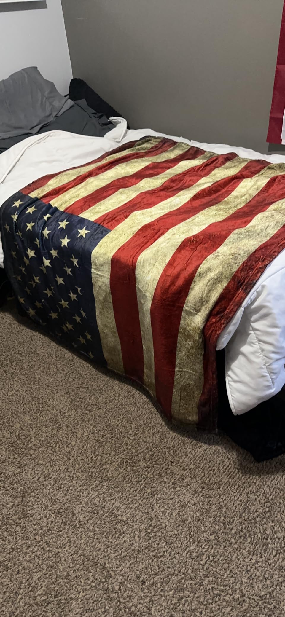Jekeno Eagle Gifts Blanket American Flag Throw Blanket, 50x60 Inch Flannel American Flag Bald Eagle Blanket Gifts for Men Women Patriots Birthday customer photo 2