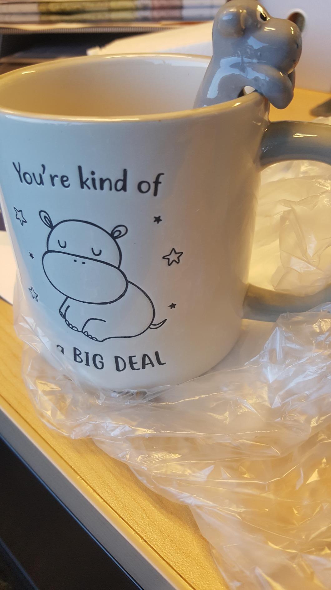 You're Kind Of A Big Deal - Hippo Gray 17oz Dolomite Coffee Cup Mug customer photo 2