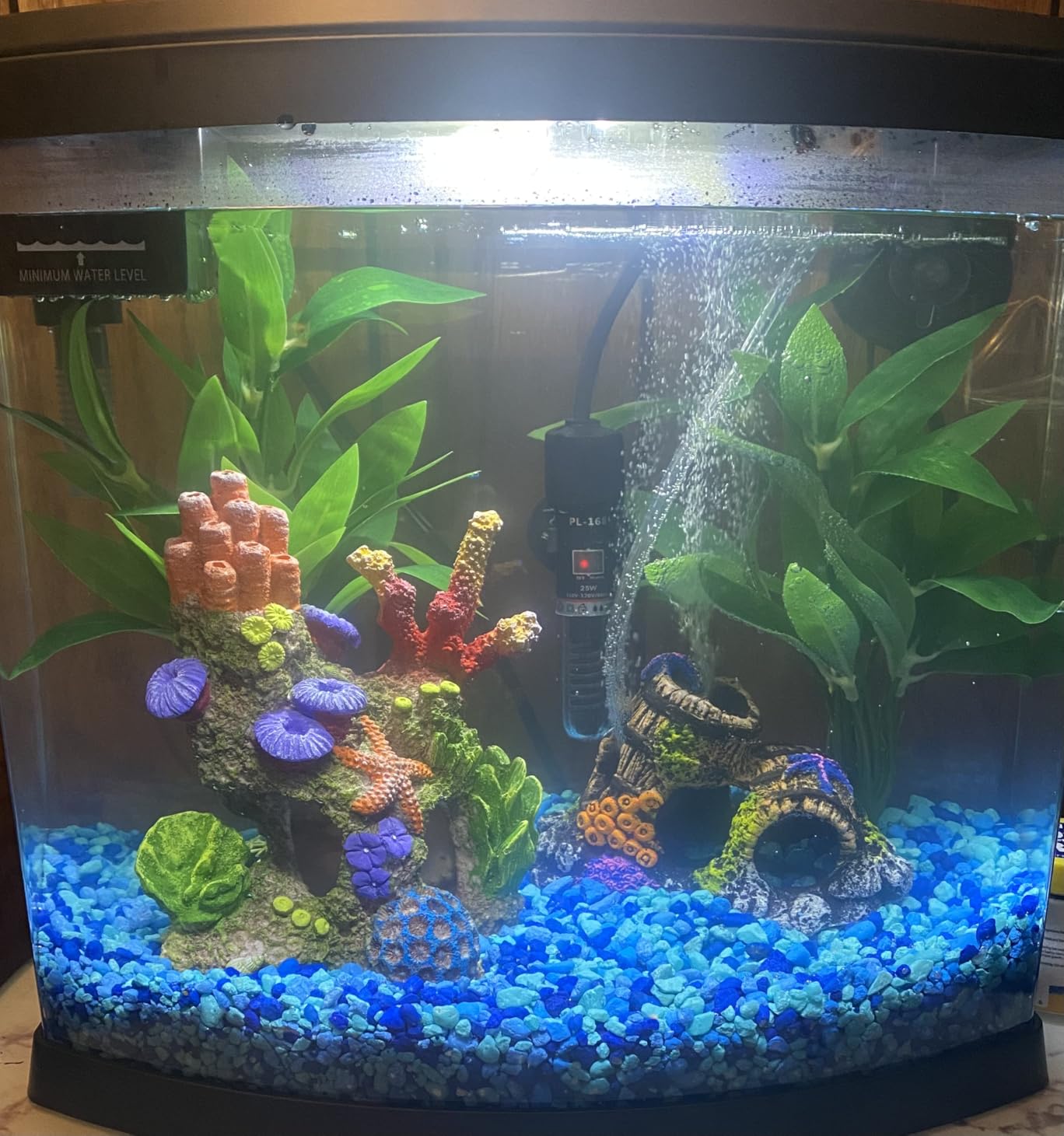 25Watt Mini Aquarium Submersible Betta Heater with Free Thermometer Strip for 1-6 Gallon Fish Tanks (Preset Temperature 78°F) customer photo 1