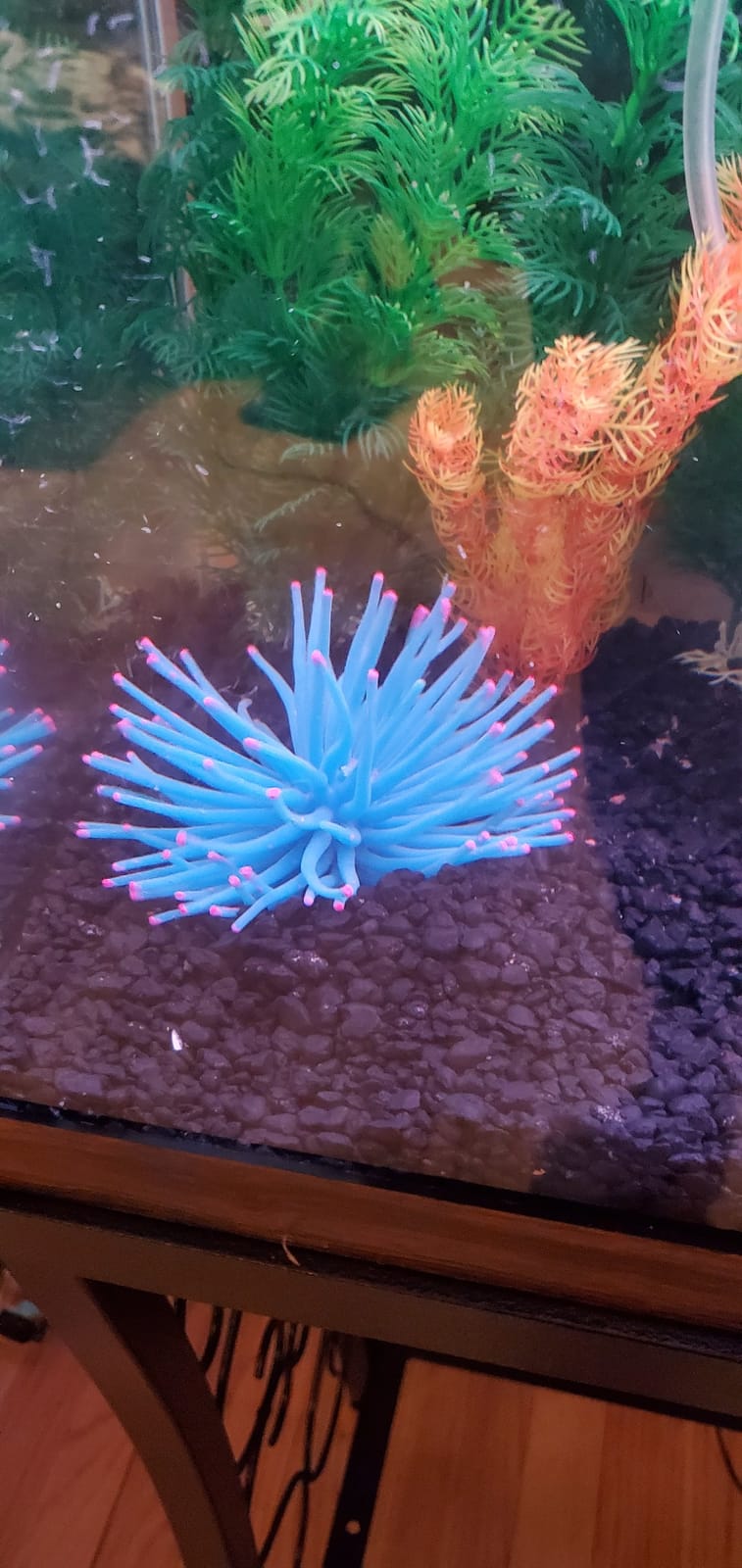 Artificial Soft Anemone Coral Plant Fish Tank Decor, Blue | Aquarium Silicone Aquarium Ornament Decoration customer photo 1