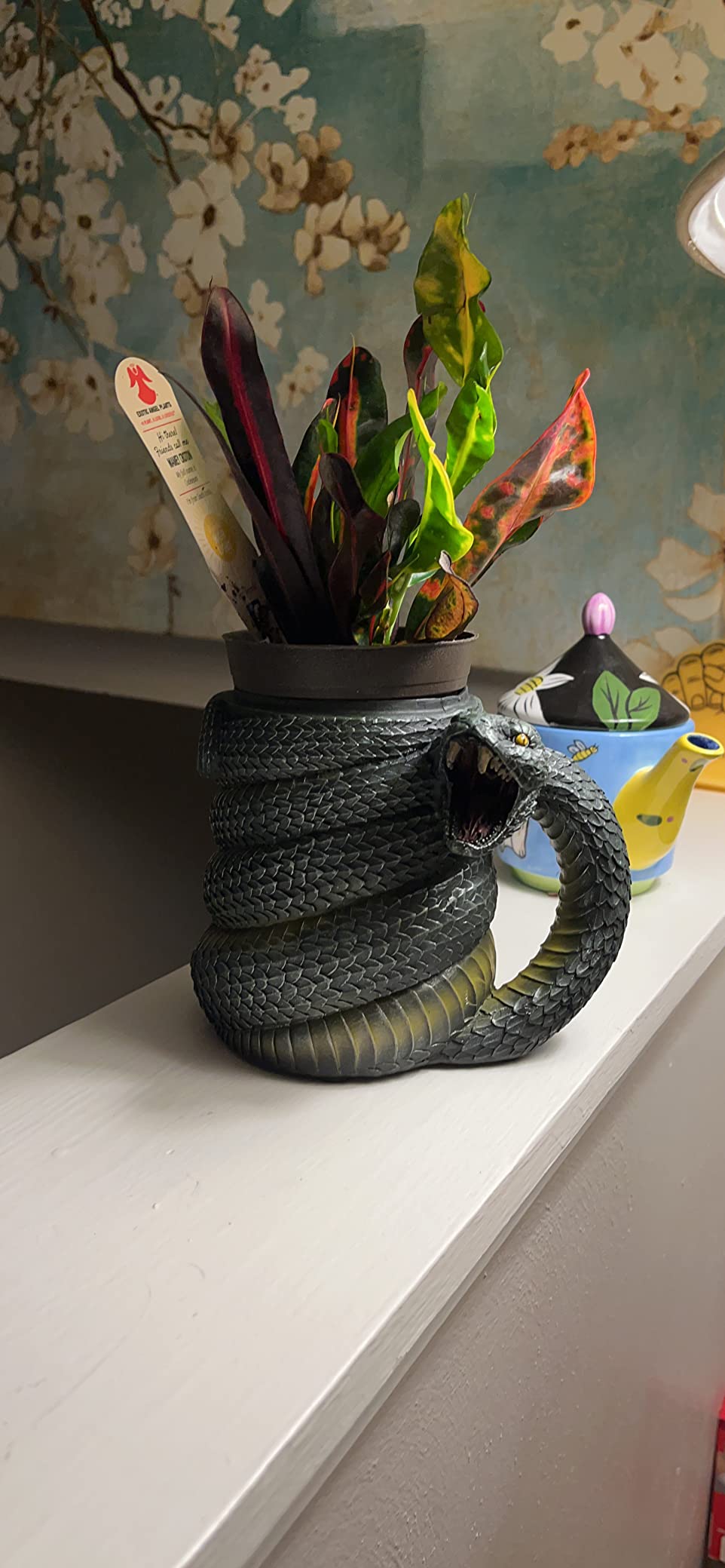SUMMIT COLLECTION Serpent Snake Coffee Mug Cup 16 fl oz Green Anaconda Beer Tankard customer photo 1