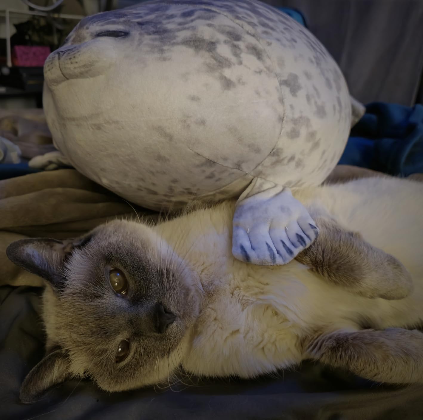 Seal Pillow, Chubby Blob Seal Plush Pillow Stuffed Animal Toy Cute Plushies Ocean Pillows (Medium 17.6 in) customer photo 2