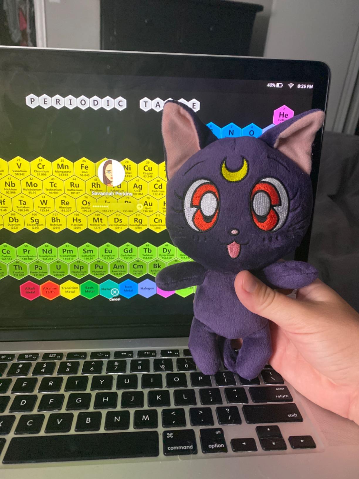 Sailor Moon- Luna Plush 7
