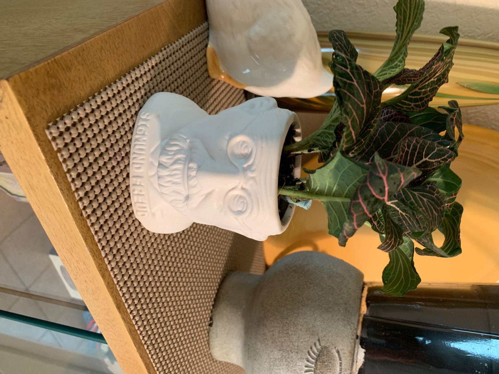 The Unemployed Philosophers Guild Sigmund Freud Bust Ceramic Planter customer photo 1