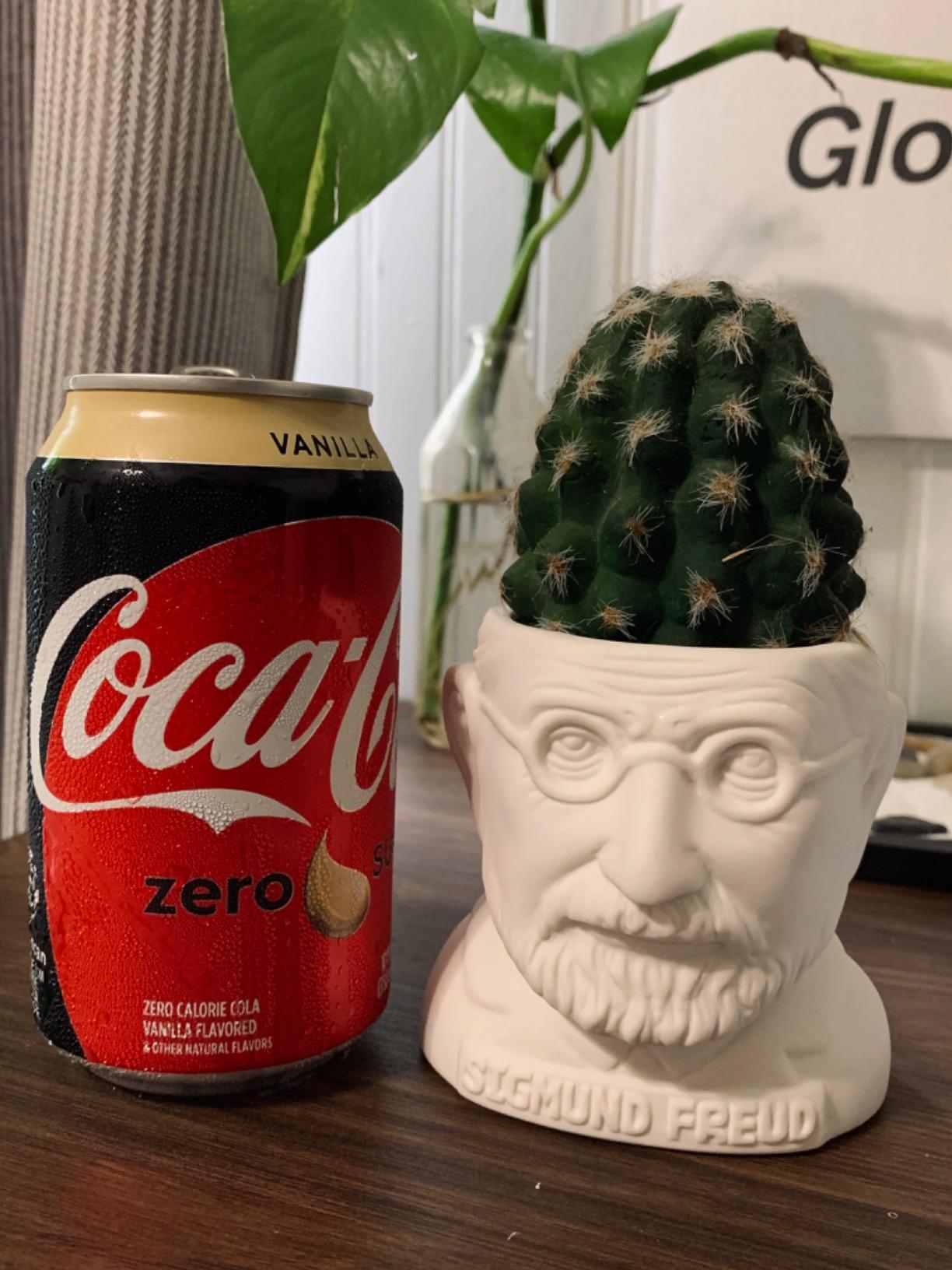The Unemployed Philosophers Guild Sigmund Freud Bust Ceramic Planter customer photo 2