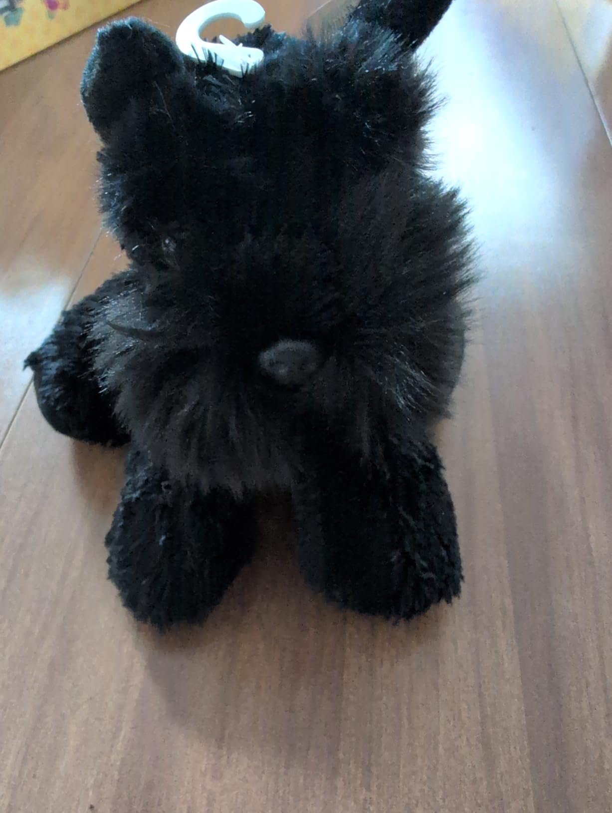 Aurora Mini Flopsie Fernando Frog Adorable Stuffed Animal customer photo 1
