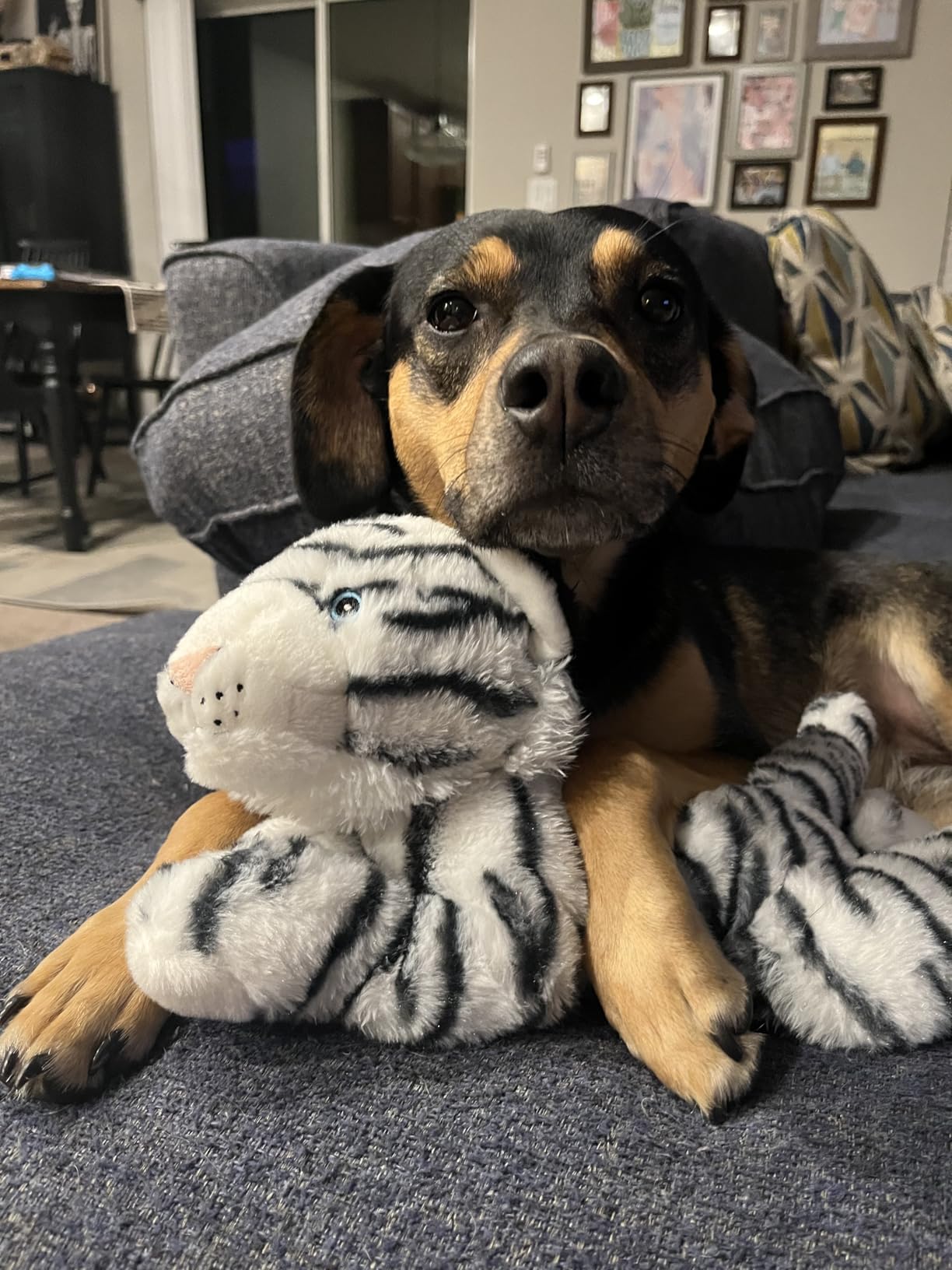 Wild Republic Ecokins Snow Leopard Stuffed Animal - 12