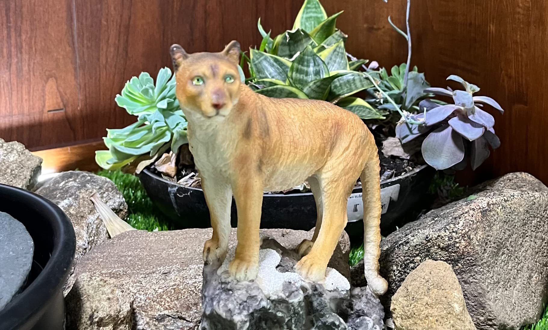 Pacific Giftware Realistic Big Cat Cougar on Rock Resin Figurine Statue customer photo 1