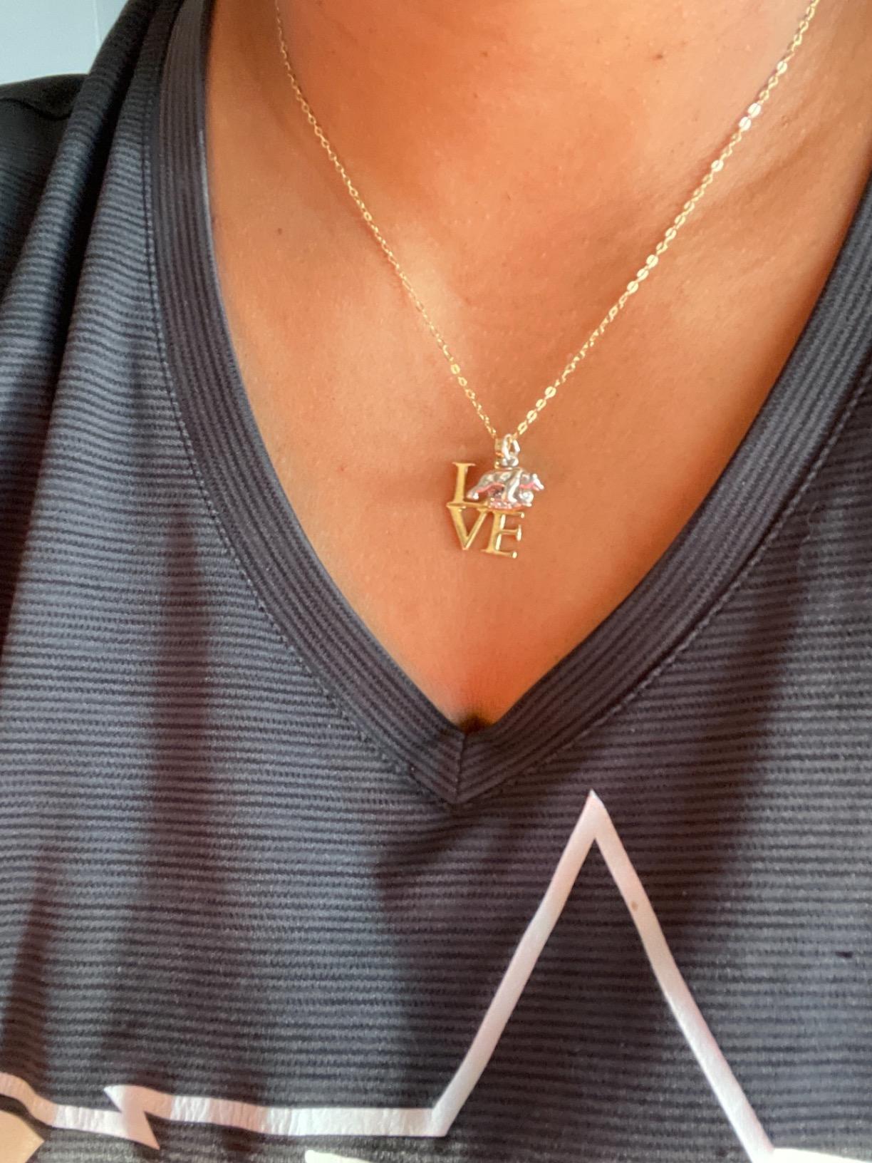 FashionJunkie4Life Sterling Silver Animals and Woodland Creatures Pendant Necklaces for Men and Women customer photo 1