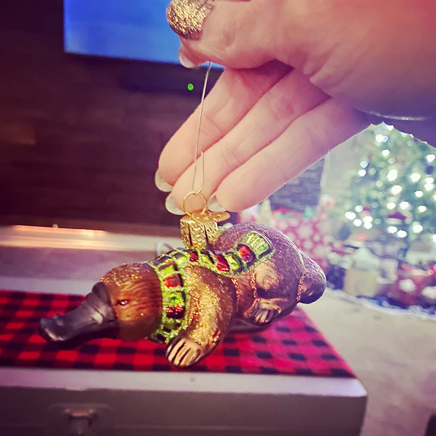 Old World Christmas Platypus Glass Ornament Free Box 12578 New customer photo 2