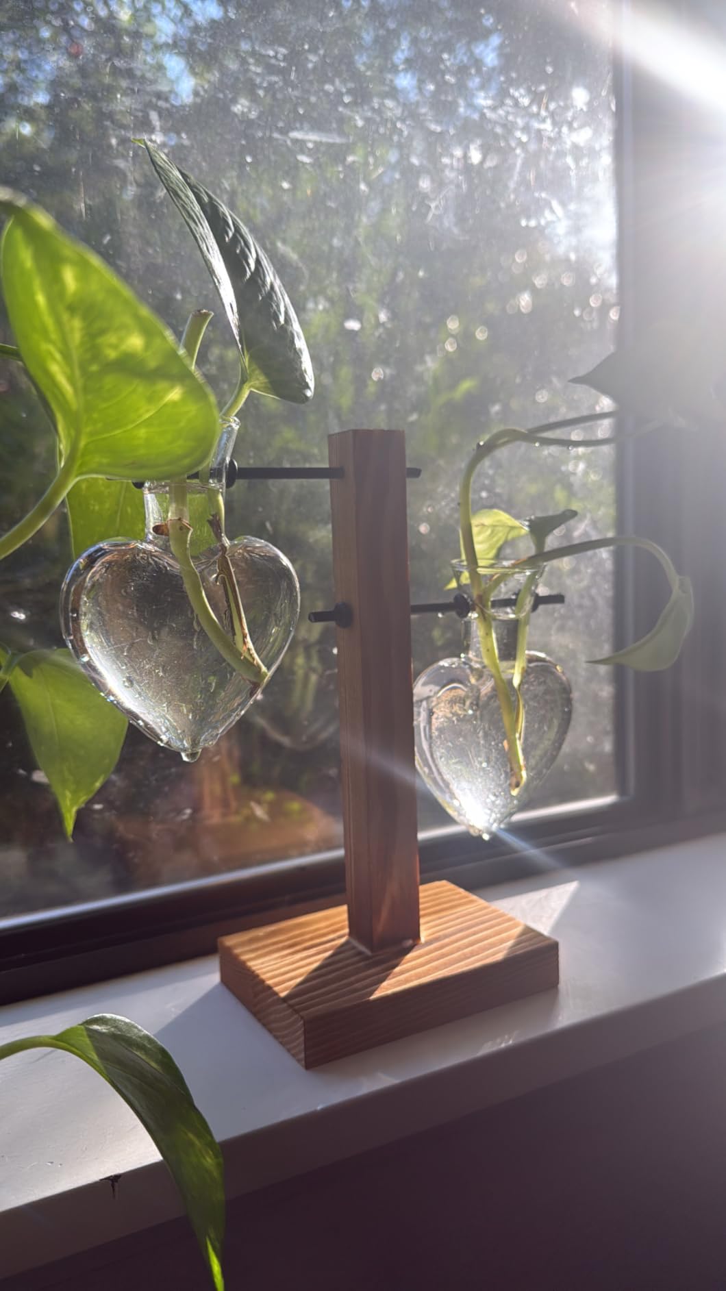 XXXFLOWER Plant Propagation Station Terrarium Wooden Stand 2 Love Bulb Vase | Flower Glass Vase Plant Desktop Holder, Home Garden Office Decor for Birthday Gift for Women Plant Lover customer photo 1