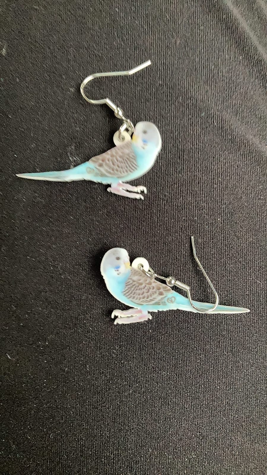 Acrylic Cockatiel Gifts Cute Parrot Earrings Dangle for Women Bird Lovers Jewelry Ornament Charms customer photo 2