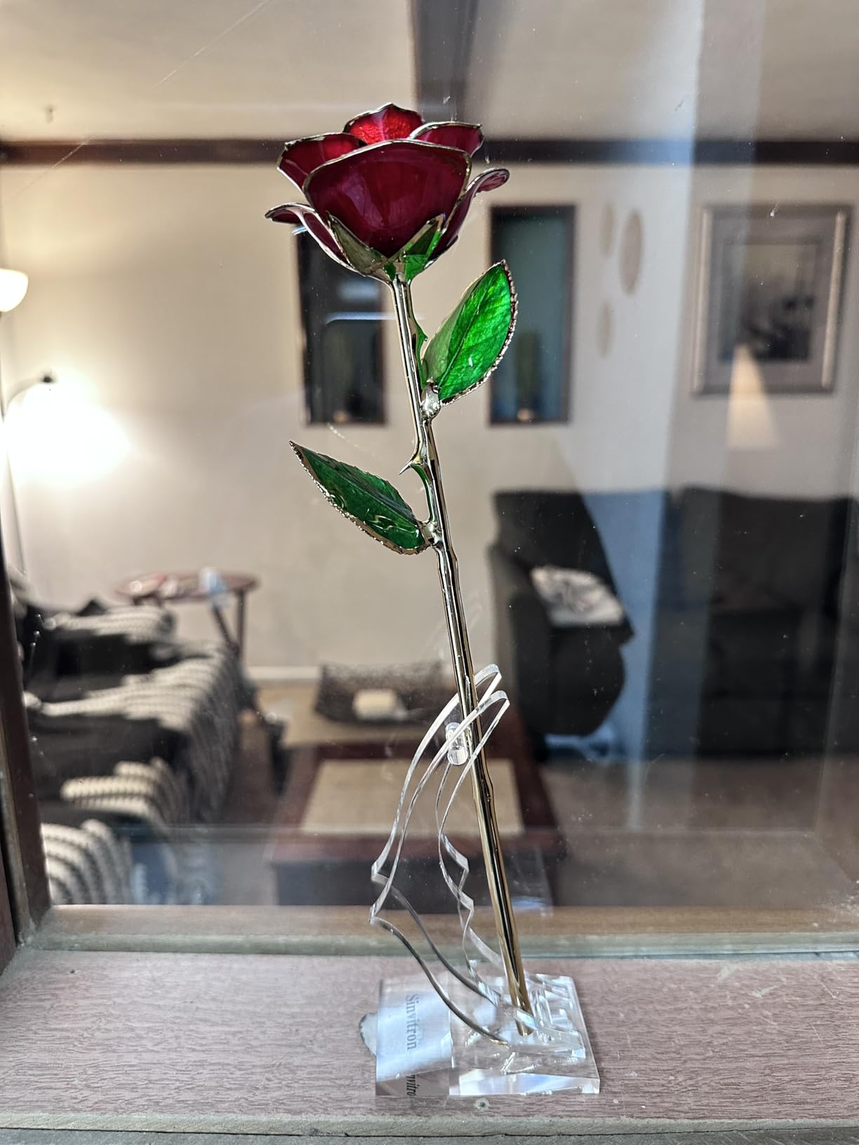Sinvitron Gold Dipped Infinity Rose Forever Flower Decor, Resin Preserved Real Rose Birthday Gift for Women, Anniversary Present for Mom (Ivory White) customer photo 1